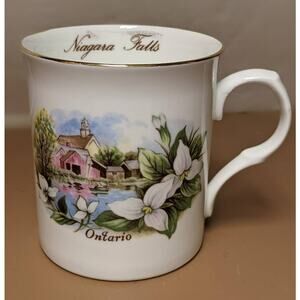 Crown Trent Vintage China Niagara Falls Souvenir Mug Tea Cup Ontario Canada